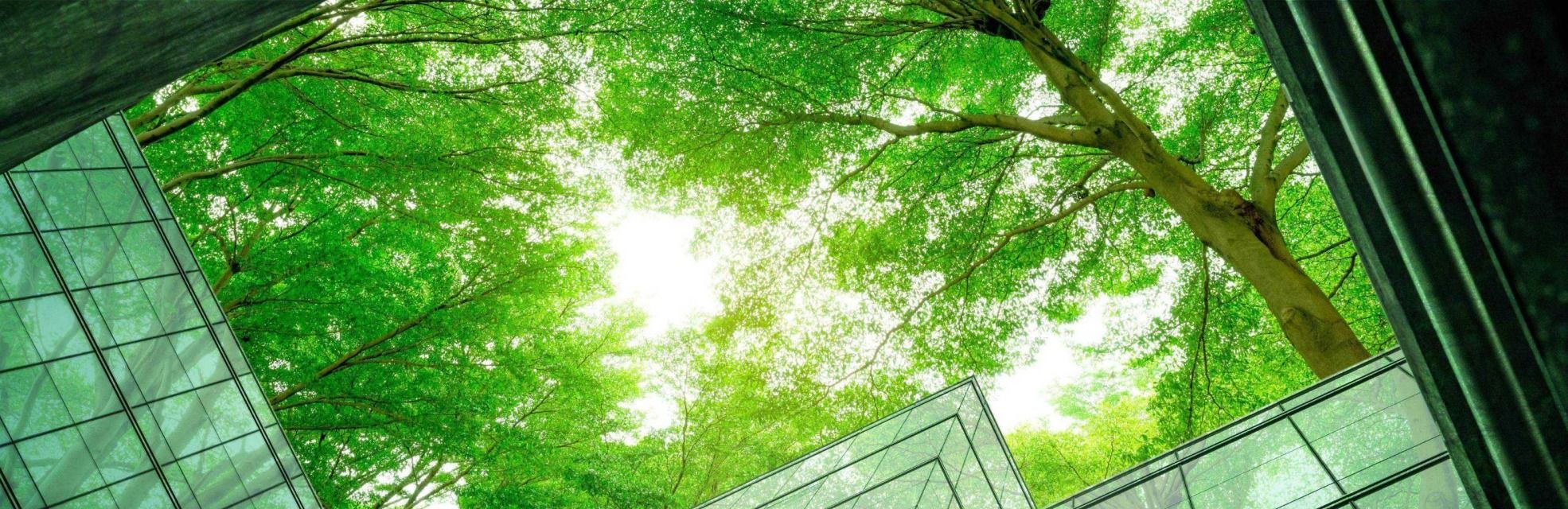 Sustainable finance 2